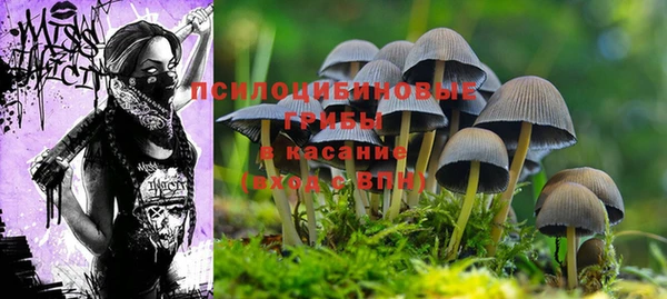 PSILOCYBIN Алексин