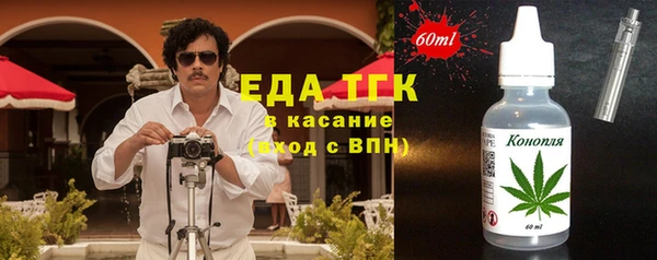 хмурый Арсеньев