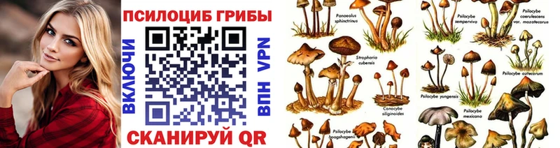 Купить Лагань Галлюциногенные грибы Magic Shrooms